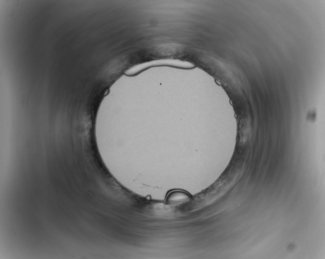 X0000101980279200808151408