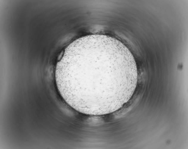 X0000101980280200808151408