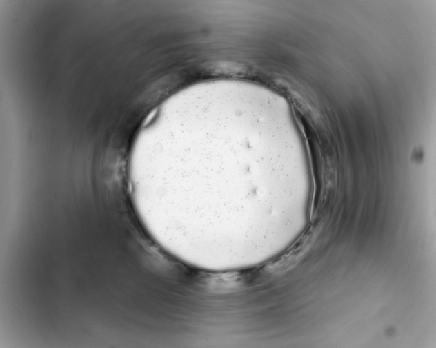 X0000101980281200808151408