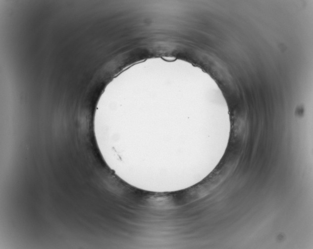 X0000101980283200808151408