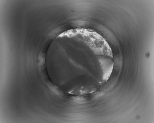 X0000101980284200808151408