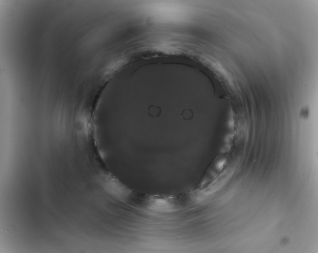 X0000101980285200808151408