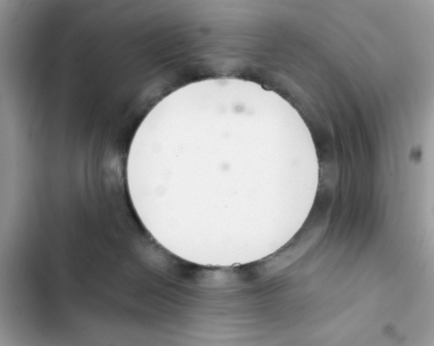 X0000101980286200808151408