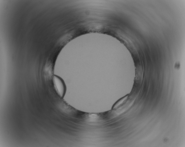 X0000101980287200808151408