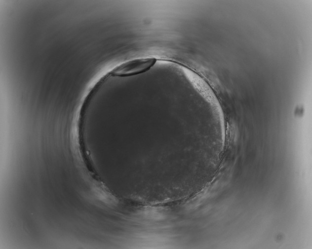 X0000101980292200808151407