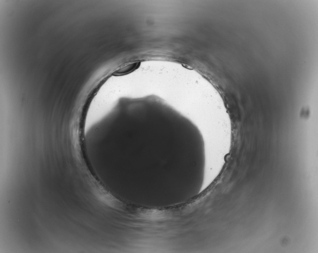 X0000101980293200808151407