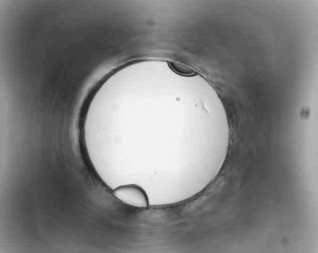 X0000101980294200808151407