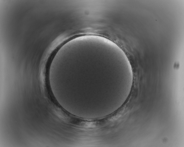 X0000101980295200808151407