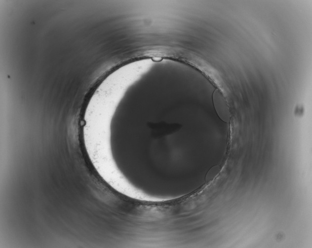 X0000101980297200808151407