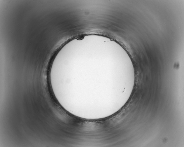 X0000101980298200808151407