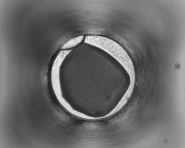 X0000101980299200808151407