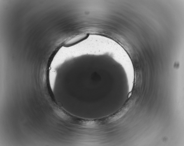 X0000101980301200808151407