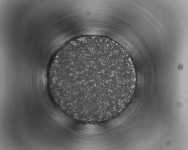 X0000101980302200808151407