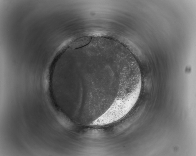 X0000101980304200808151407