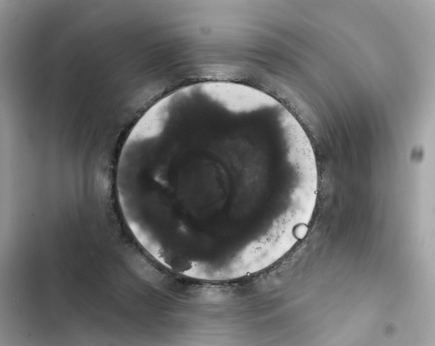 X0000101980305200808151407