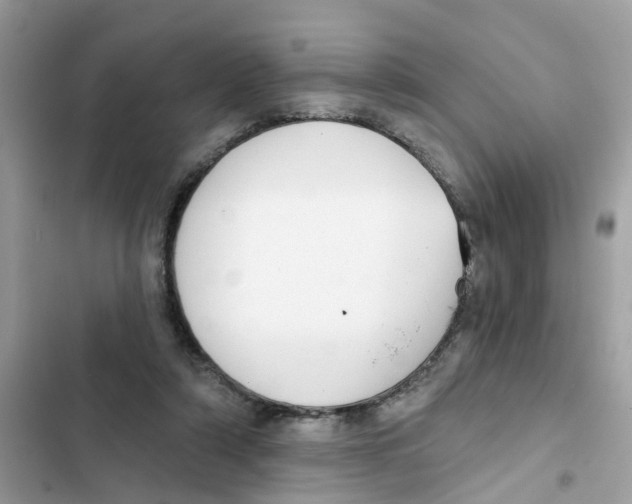 X0000101980306200808151407