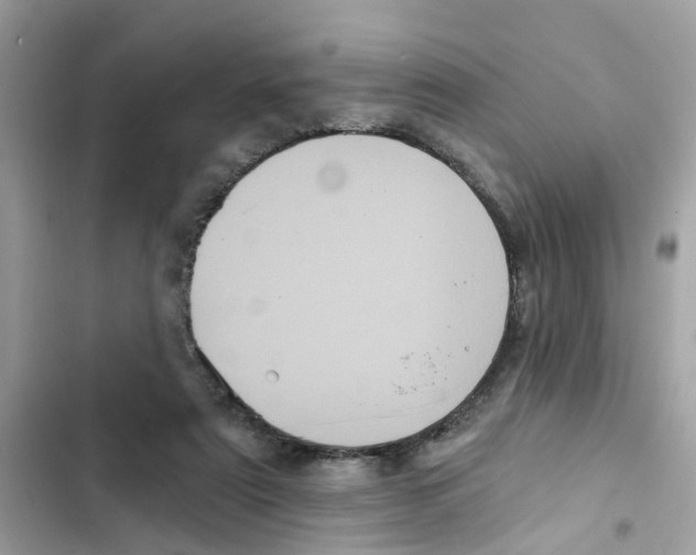 X0000101980307200808151407