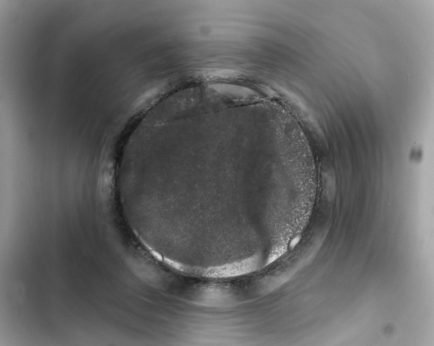 X0000101980308200808151407