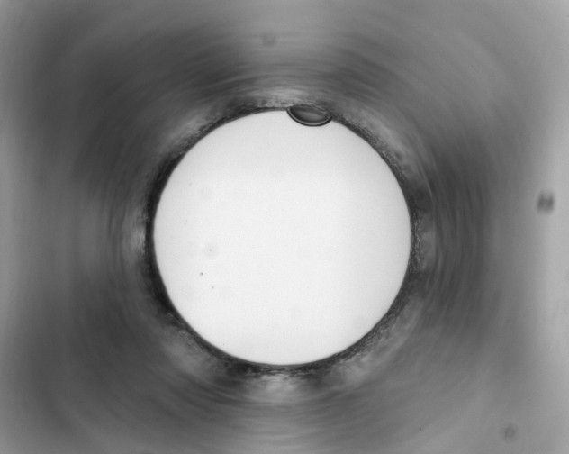 X0000101980310200808151407