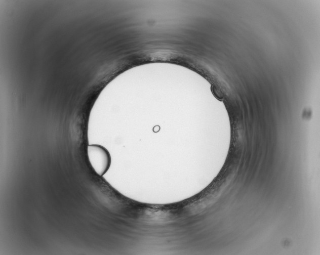 X0000101980311200808151407