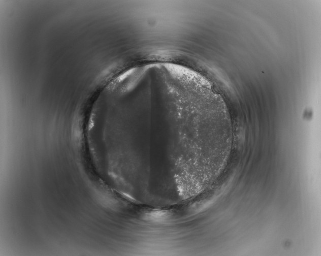 X0000101980312200808151407