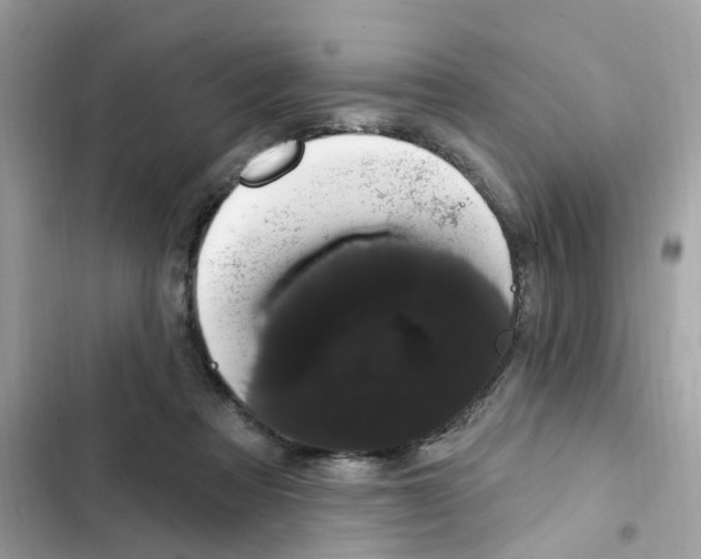 X0000101980313200808151407