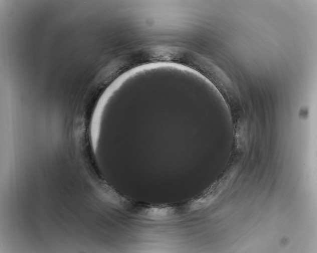 X0000101980314200808151407