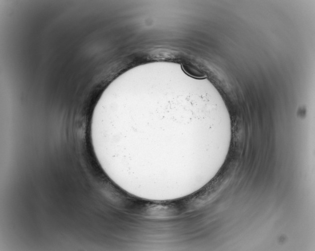 X0000101980315200808151407