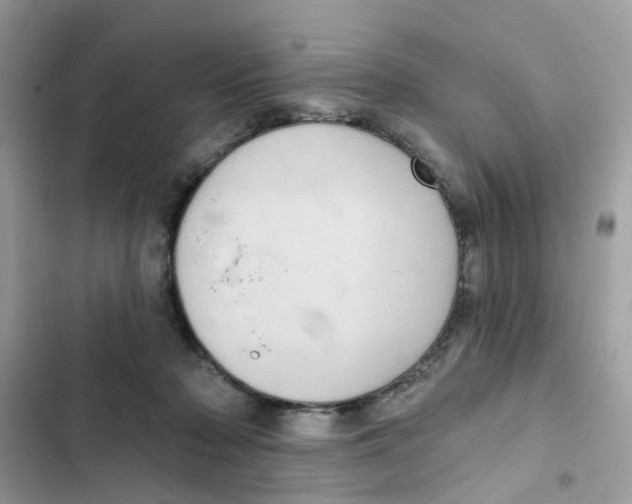 X0000101980318200808151407