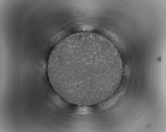 X0000101980321200808151407