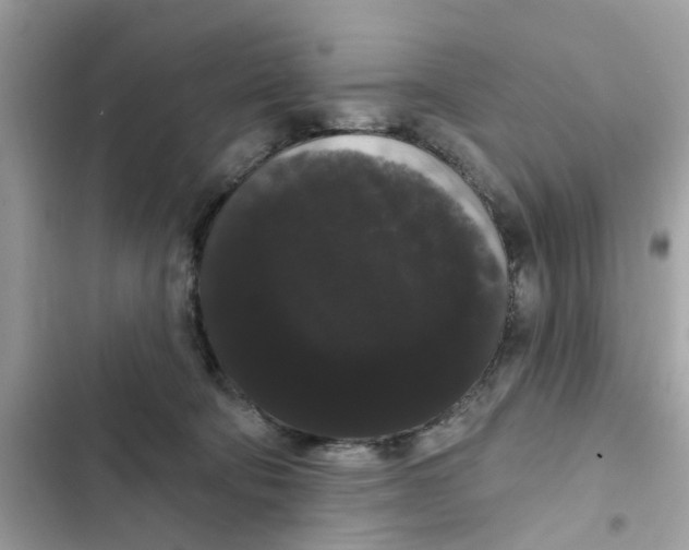 X0000101980322200808151407