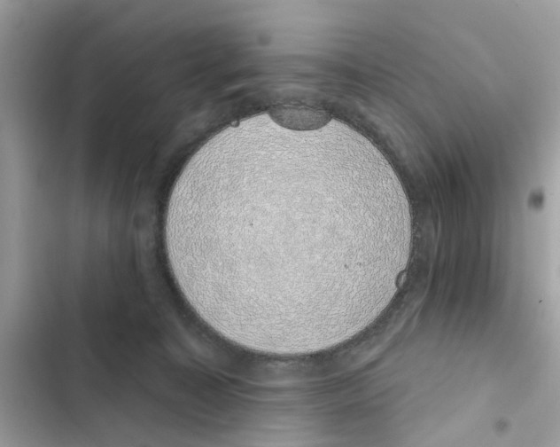 X0000101980323200808151407