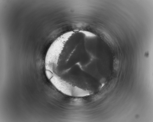 X0000101980324200808151407