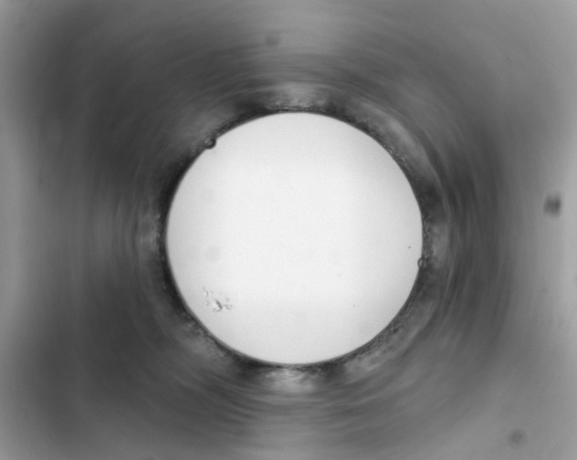 X0000101980326200808151407