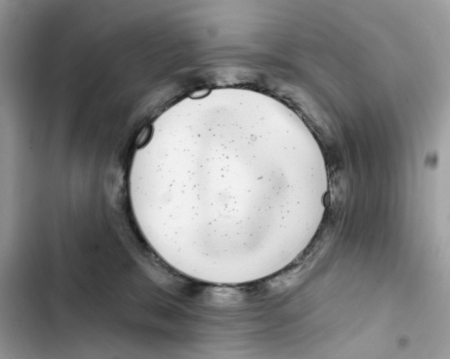 X0000101980327200808151407