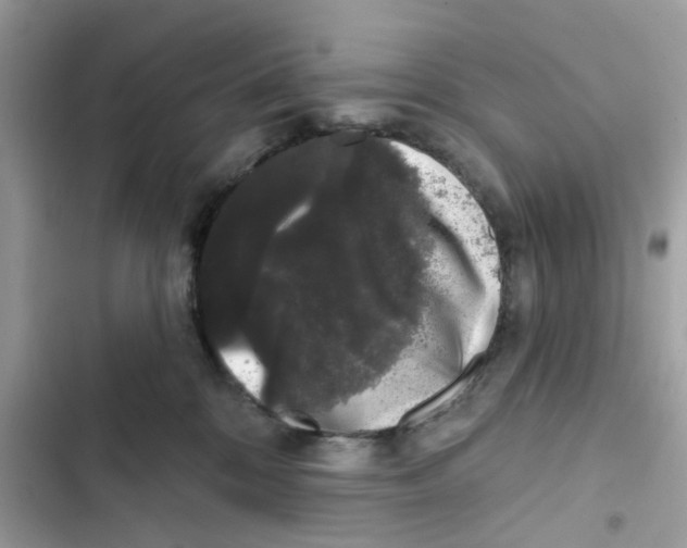 X0000101980328200808151407