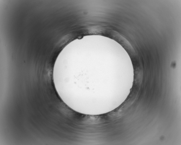 X0000101980329200808151407