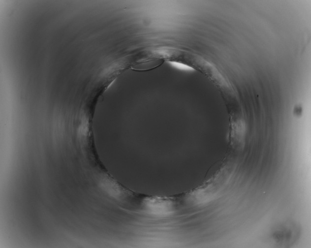 X0000101980331200808151407