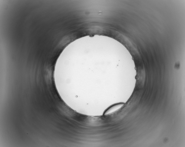 X0000101980333200808151407