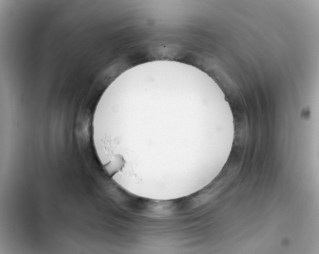 X0000101980334200808151407