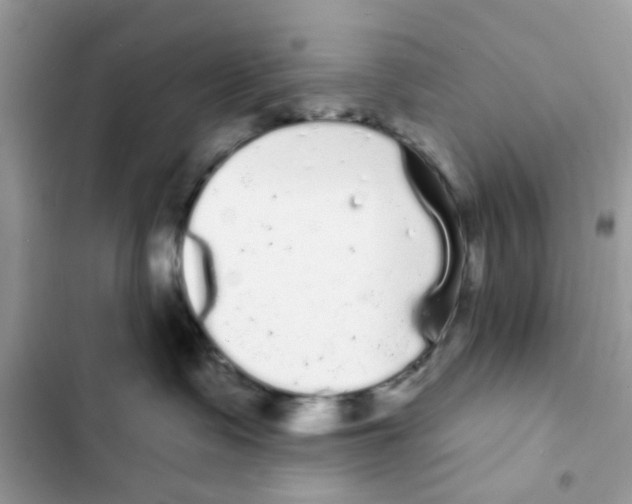 X0000101980335200808151407