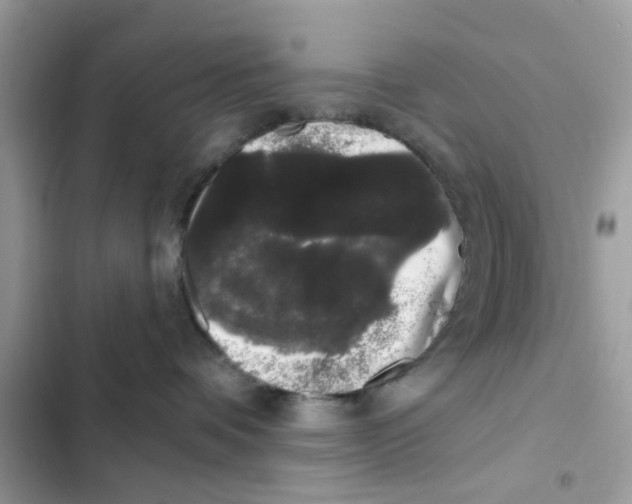 X0000101980336200808151407