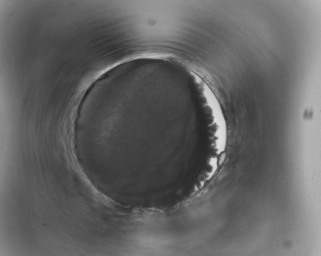 X0000101980337200808151406