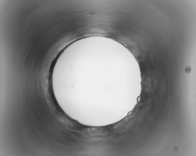 X0000101980338200808151406