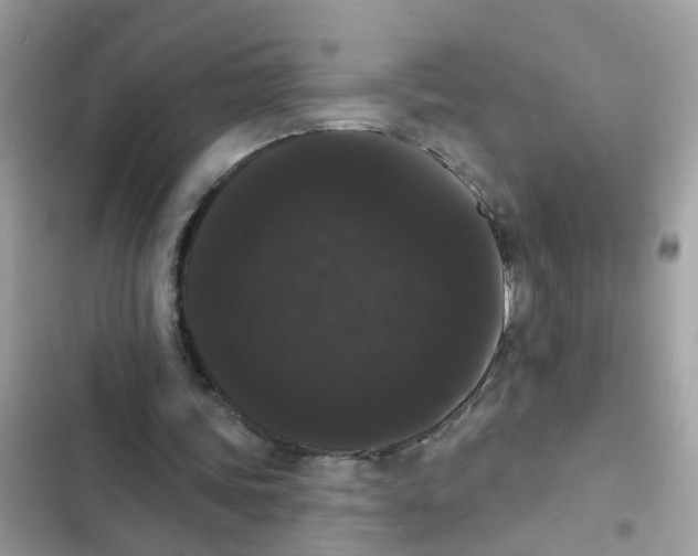 X0000101980339200808151406