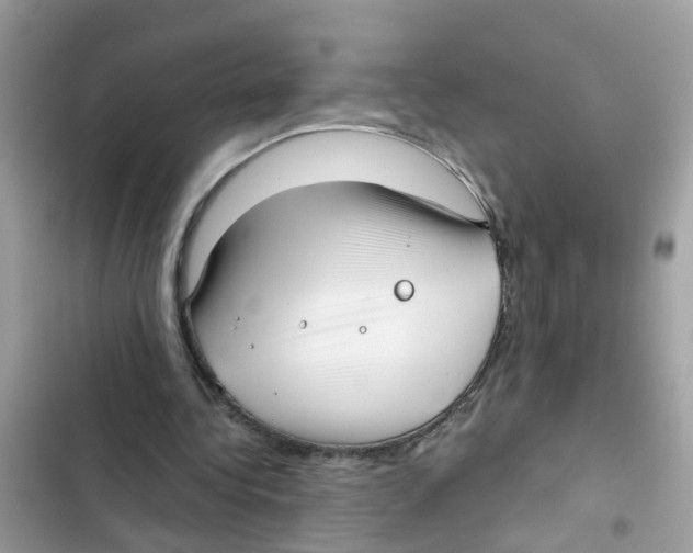 X0000101980340200808151406