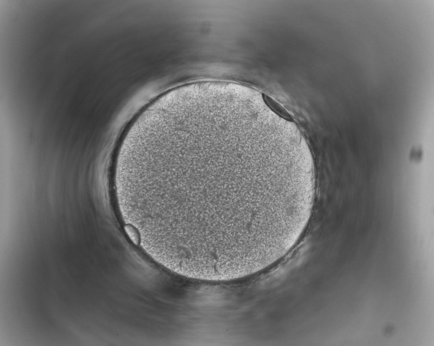 X0000101980341200808151406