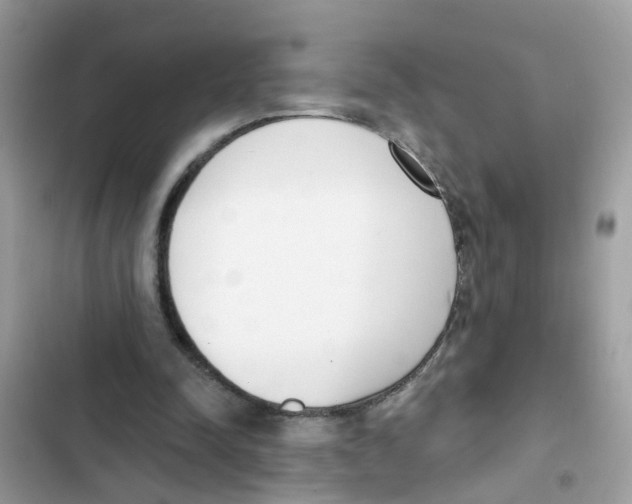 X0000101980342200808151406