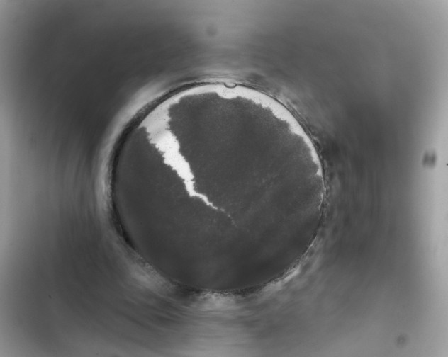 X0000101980343200808151406