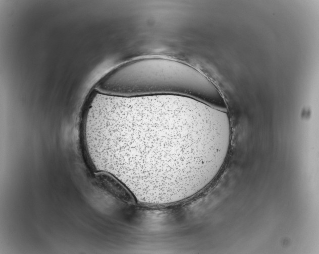 X0000101980344200808151406